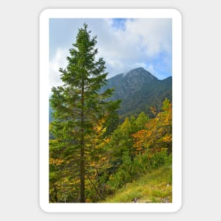 Autumn on the Slopes of Mangrt Sticker